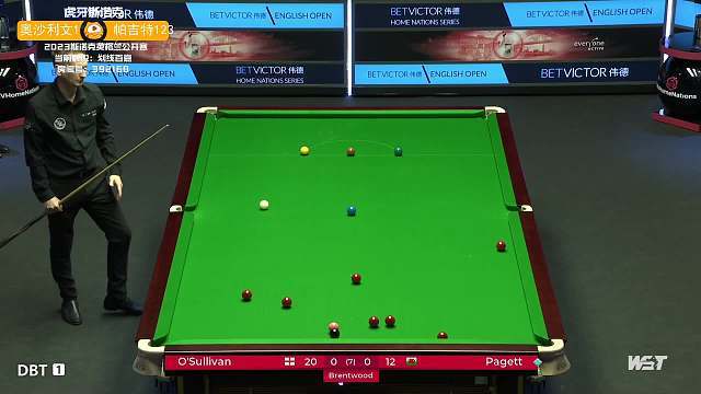 率的恭维 率的恭维