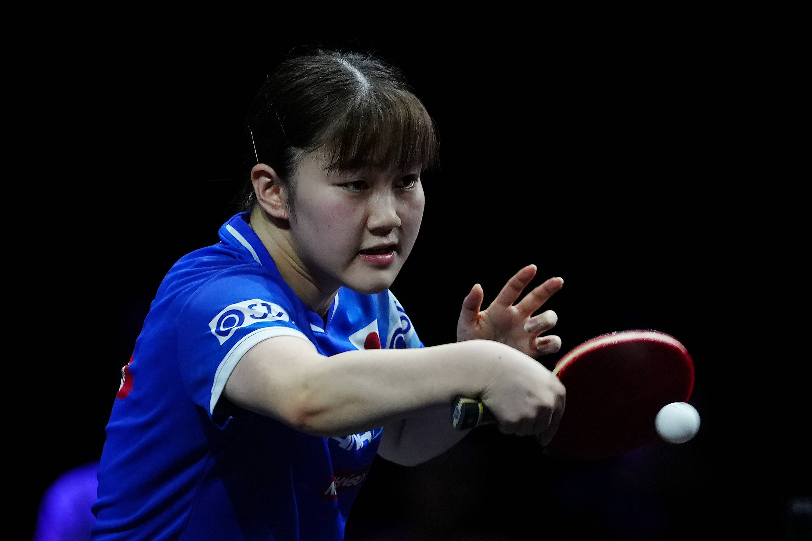 头捕捉场地 头捕捉场地