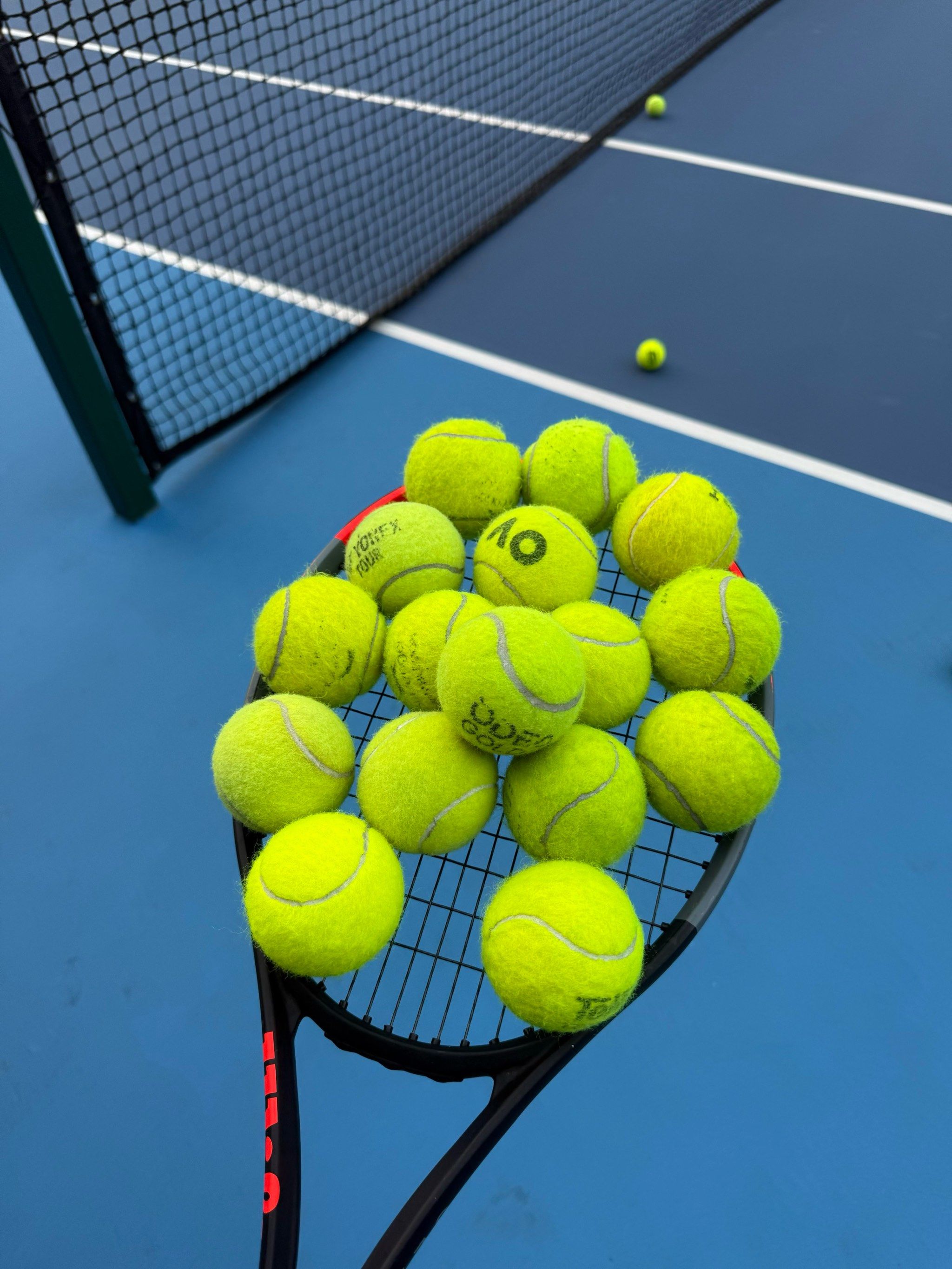 或许会出现 或许会出现