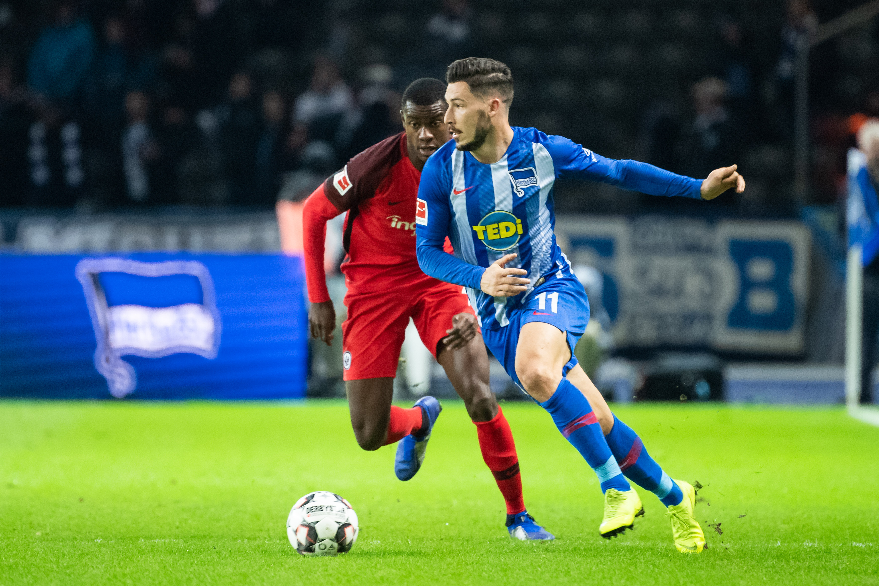 向或10天 向或10天